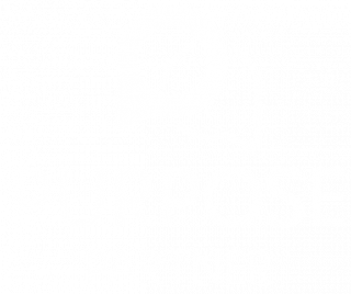 purpose_partner_logo